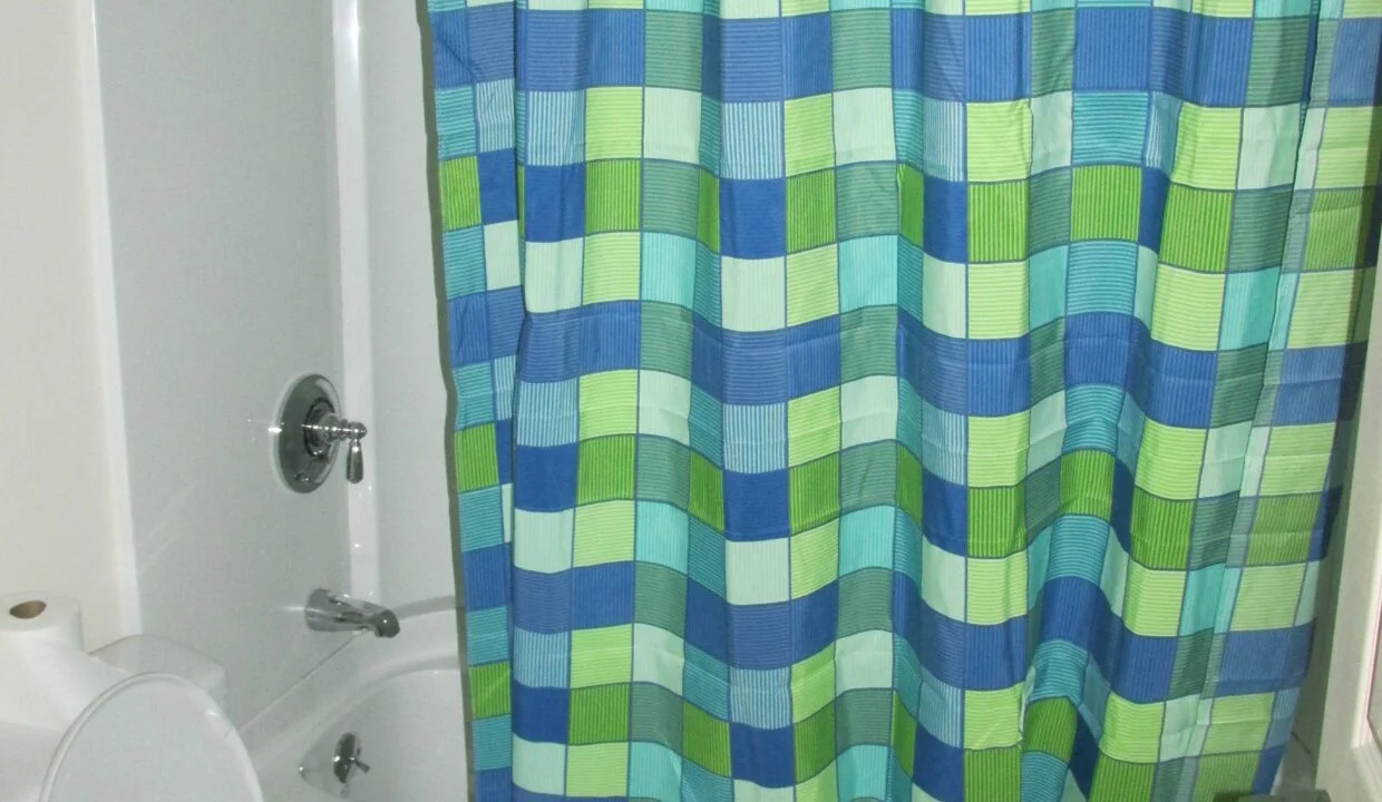a bathroom with a blue and green checkered shower curtain.