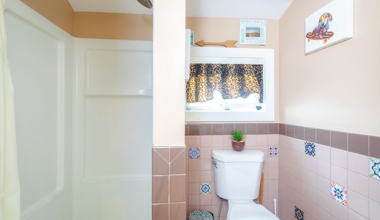 A bathroom with a shower on the left, a toilet in the center, a small plant on the toilet tank, a window with a leopard-print curtain, and wall decor including a framed picture and a painting.