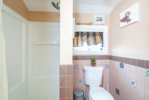 A bathroom with a shower on the left, a toilet in the center, a small plant on the toilet tank, a window with a leopard-print curtain, and wall decor including a framed picture and a painting.