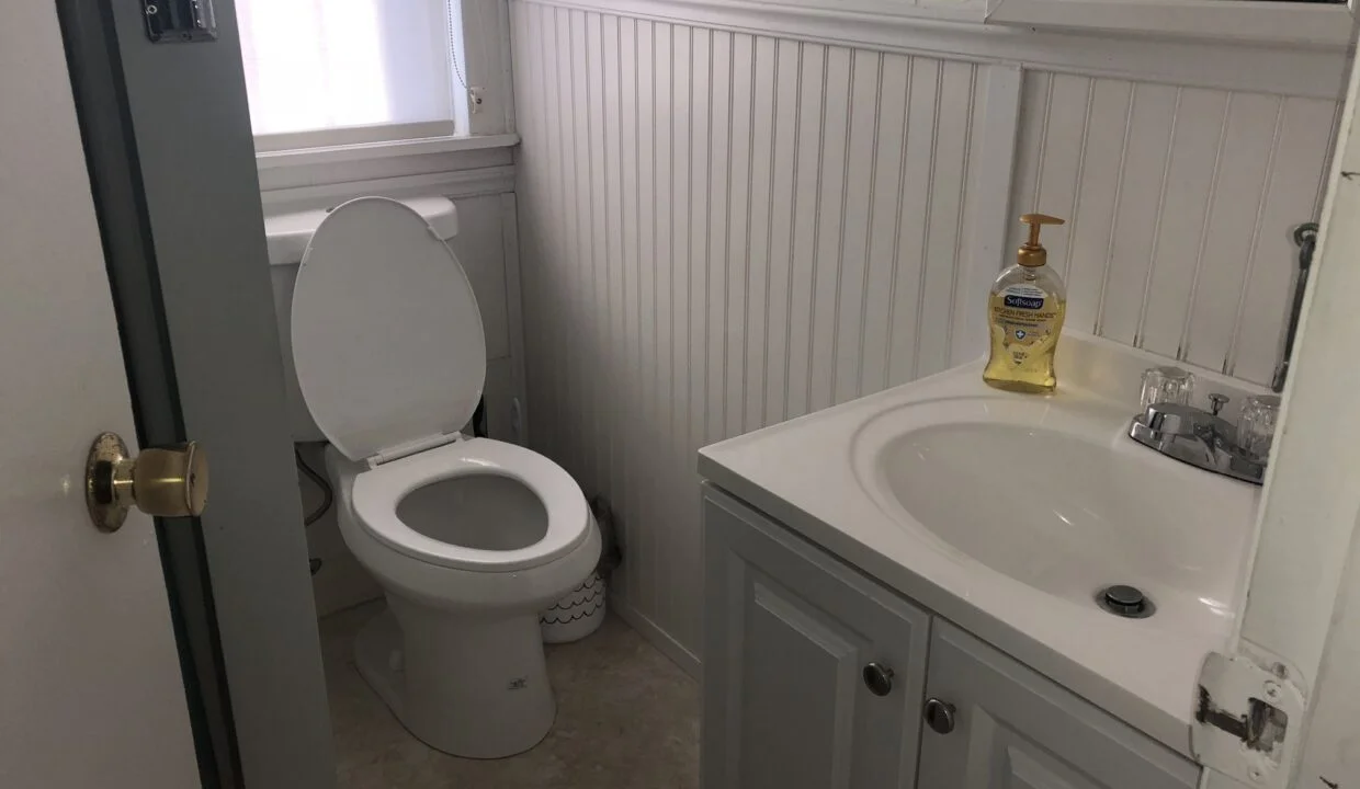 a white toilet sitting next to a white sink.