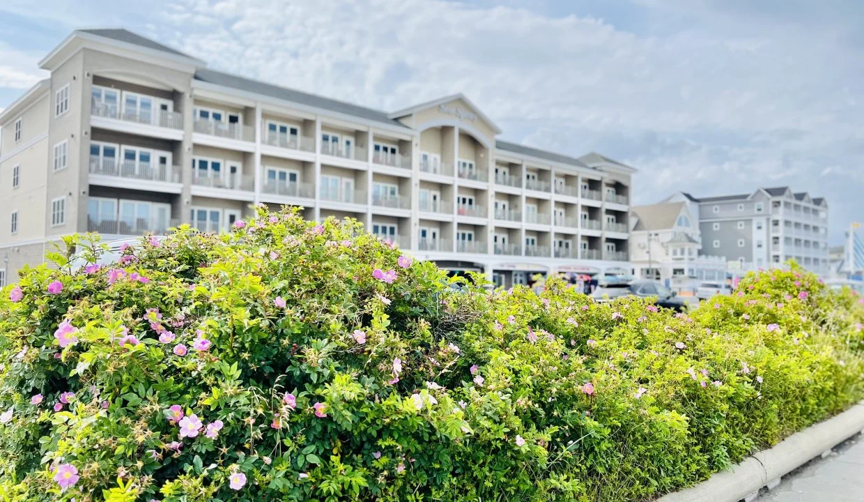 A building with bushes and flowers in front of it.