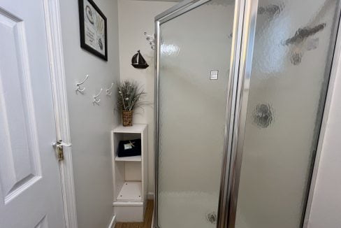 A small bathroom features a framed picture, a potted plant on a corner shelf, wall hooks shaped like birds, a wooden boat decoration, and a glass-enclosed shower.