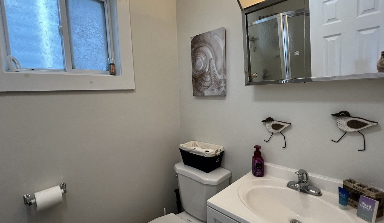 Small bathroom with a toilet, sink, mirror cabinet, and wall art. A window is located above the toilet. Decor includes bird-shaped towel hooks and various toiletries on the sink counter.