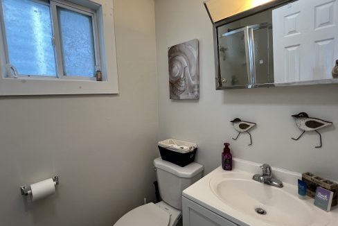 Small bathroom with a toilet, sink, mirror cabinet, and wall art. A window is located above the toilet. Decor includes bird-shaped towel hooks and various toiletries on the sink counter.
