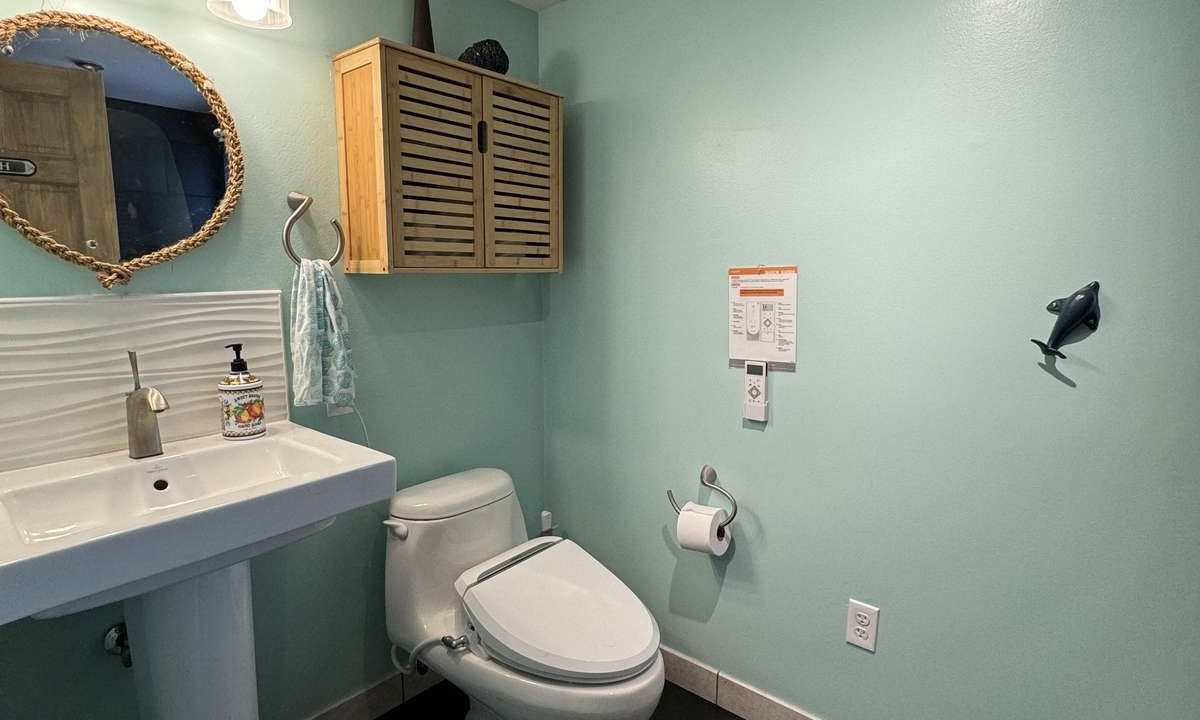 A clean bathroom features a pedestal sink with a mirror above, a toilet with a bidet, a wooden wall cabinet, and teal walls with matching rugs. A towel ring holds a turquoise towel near the sink.