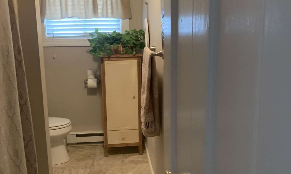 A small bathroom with a white toilet, a shower curtain, a cabinet with potted plants, and a towel hanging on the door. The floor is tiled, and there is a window with a valance.