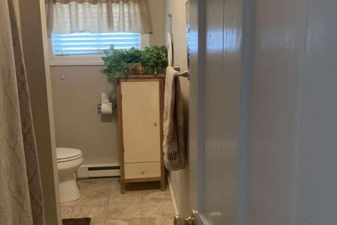 A small bathroom with a white toilet, a shower curtain, a cabinet with potted plants, and a towel hanging on the door. The floor is tiled, and there is a window with a valance.
