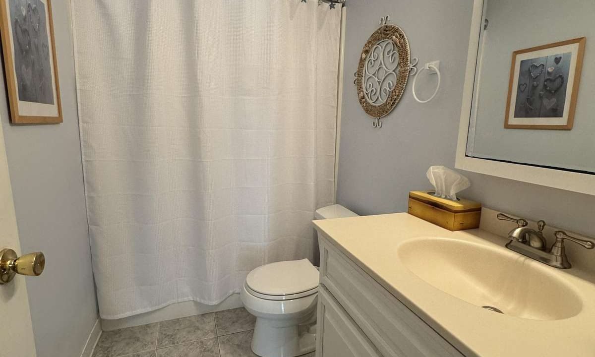 A bathroom with light-colored walls, a white sink cabinet, a toilet, and a bathtub with a white shower curtain. There are two framed pictures on the walls and a decorative wall mirror above a tissue box.