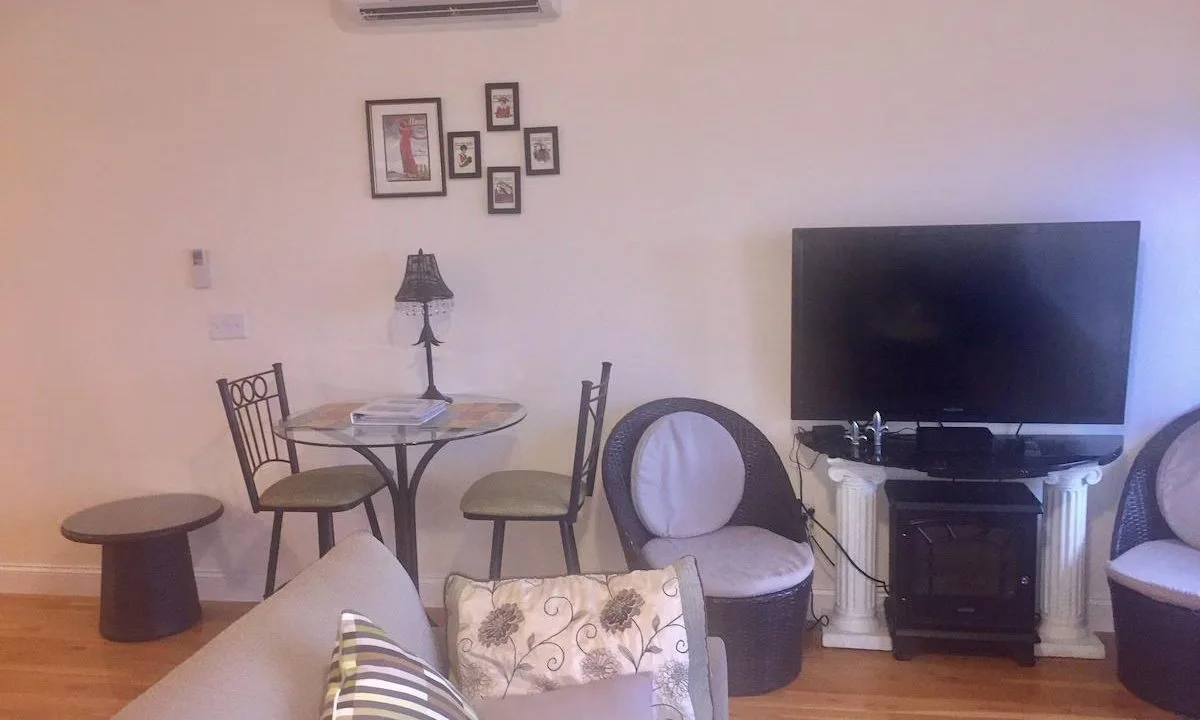 Living room with a small round table, four chairs, a TV on a stand, and a couch with patterned cushions. Wall art and an air conditioner above the table. Wooden flooring.