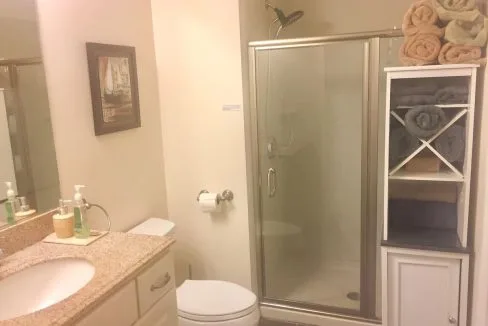 Bathroom with a shower, toilet, and sink with a granite countertop. A cabinet holds towels. A framed picture is on the wall. Toiletries include soap and a lotion bottle on the counter.