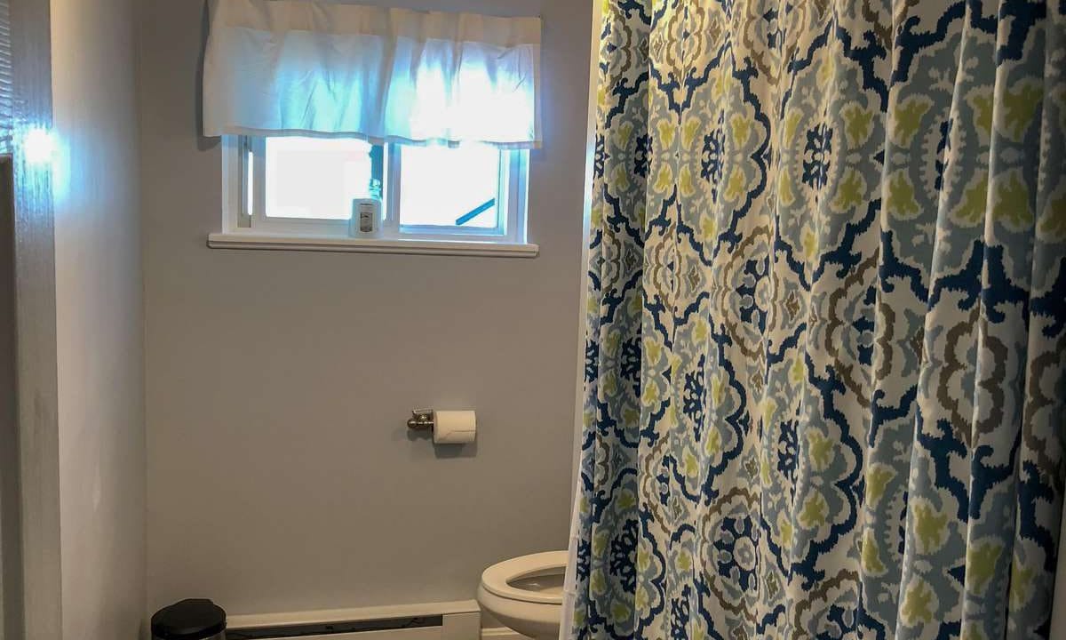 Bathroom with a patterned shower curtain, toilet, toilet paper roll, small window with curtains, and a trash bin on a wooden floor.